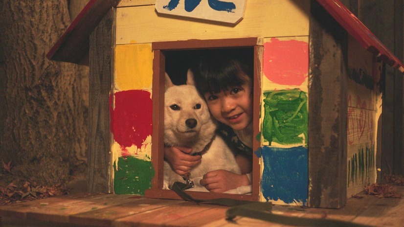 （Ｃ）2018映画『駅までの道をおしえて』製作委員会