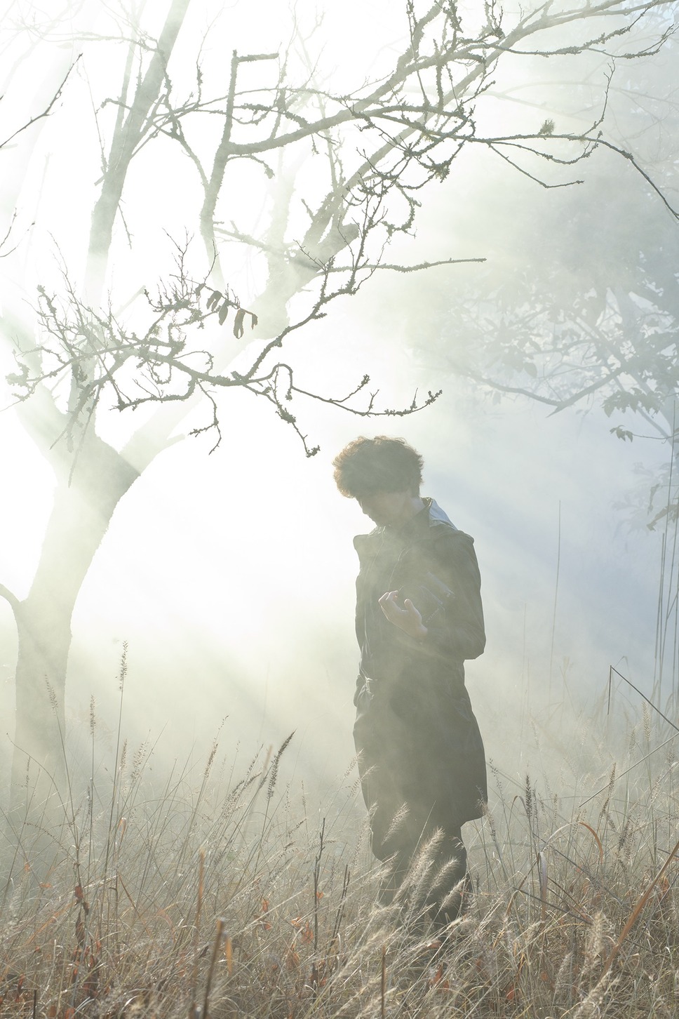 スティルライフオブメモリーズ 18枚目の写真・画像