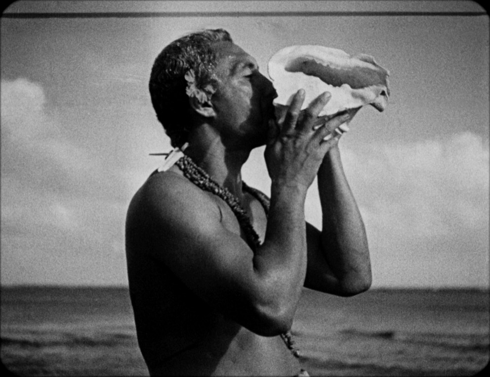 モアナ～南海の歓喜～ 6枚目の写真・画像