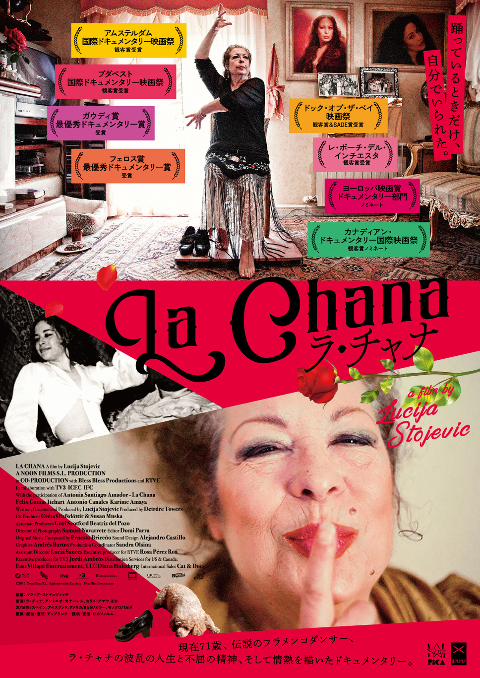 ラ・チャナ 20枚目の写真・画像