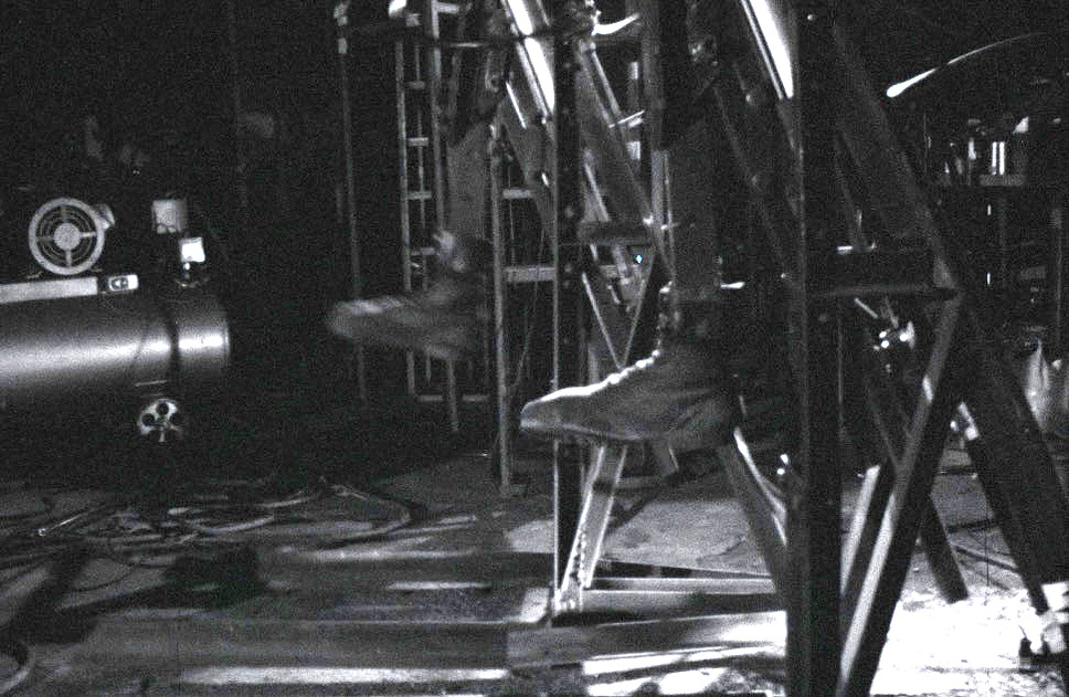 ファー・イースト・ベイビーズ 5枚目の写真・画像