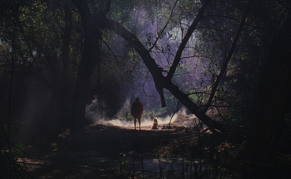 KUSO 4枚目の写真・画像