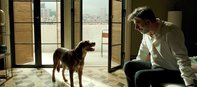 運命は踊る 4枚目の写真・画像