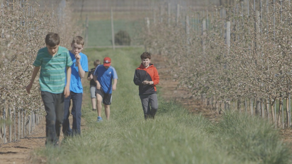 いろとりどりの親子 5枚目の写真・画像