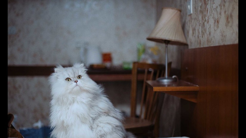 若い女 4枚目の写真・画像