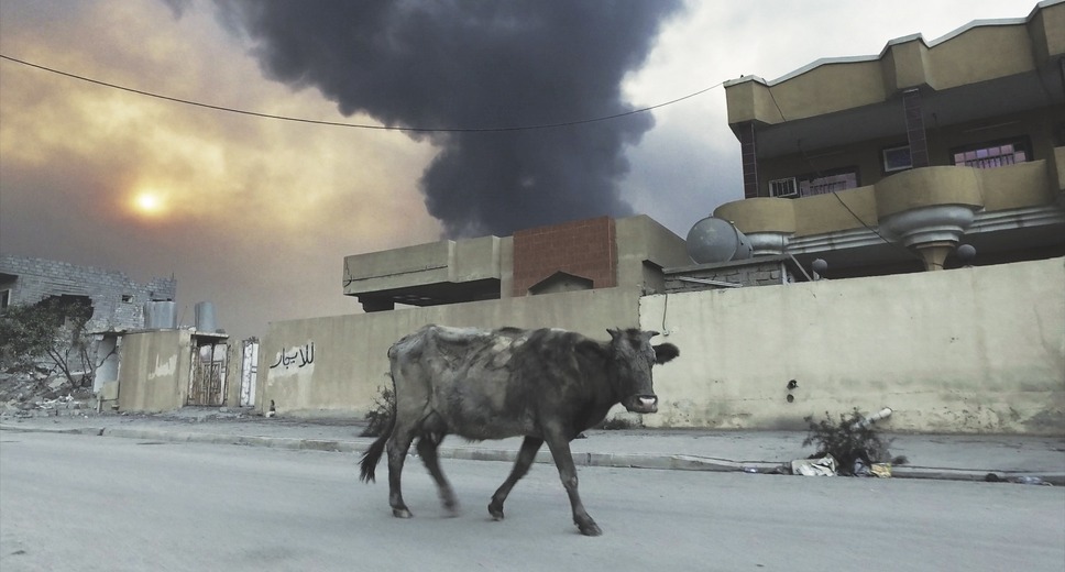 ヒューマン・フロー 大地漂流 4枚目の写真・画像