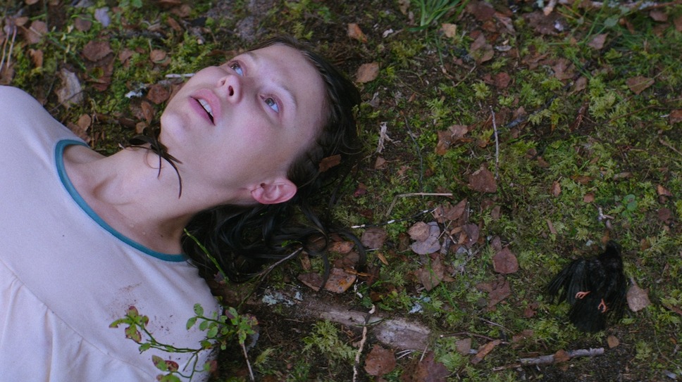 テルマ 3枚目の写真・画像