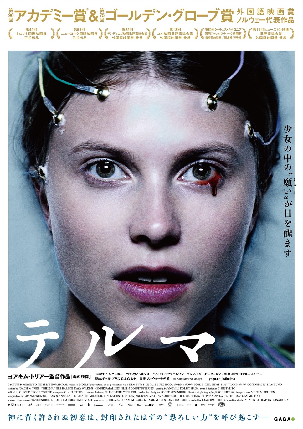 テルマ 1枚目の写真・画像