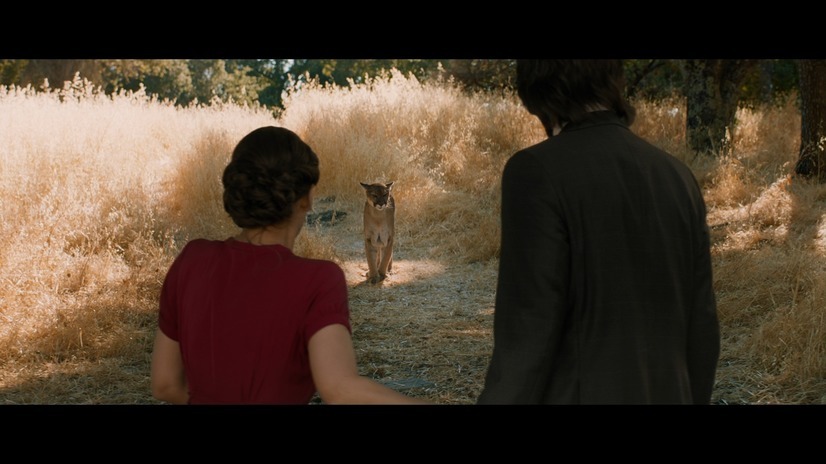 おとなの恋は、まわり道 10枚目の写真・画像