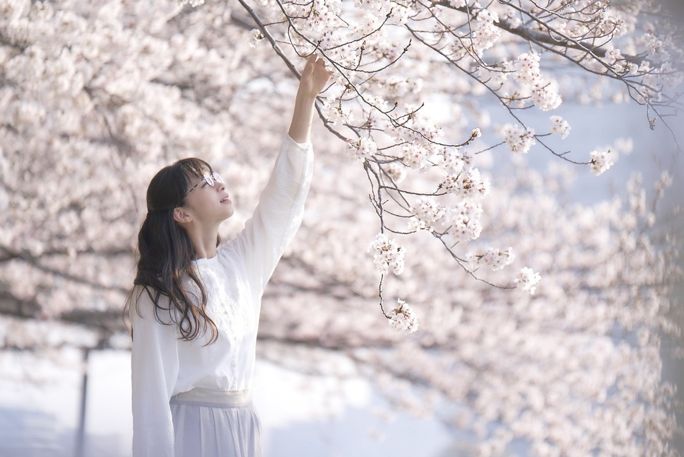 雪の華 4枚目の写真・画像
