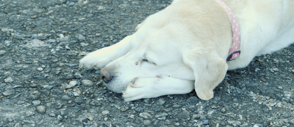 宝物の抱きかた 18枚目の写真・画像