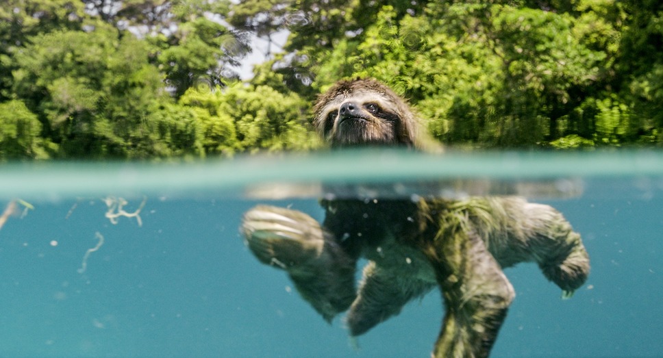 アース：アメイジング・デイ 4枚目の写真・画像