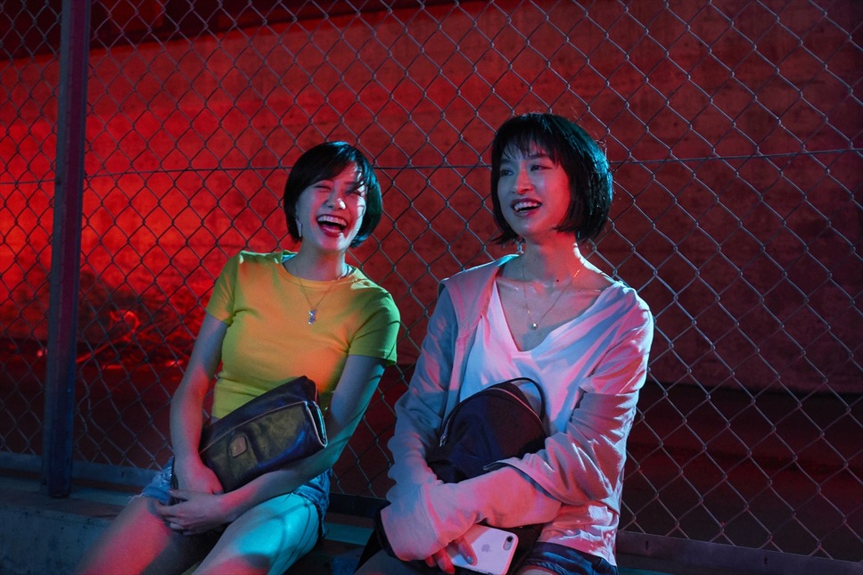 チワワちゃん 3枚目の写真・画像