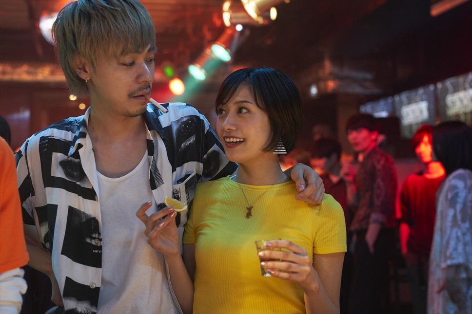 チワワちゃん 5枚目の写真・画像