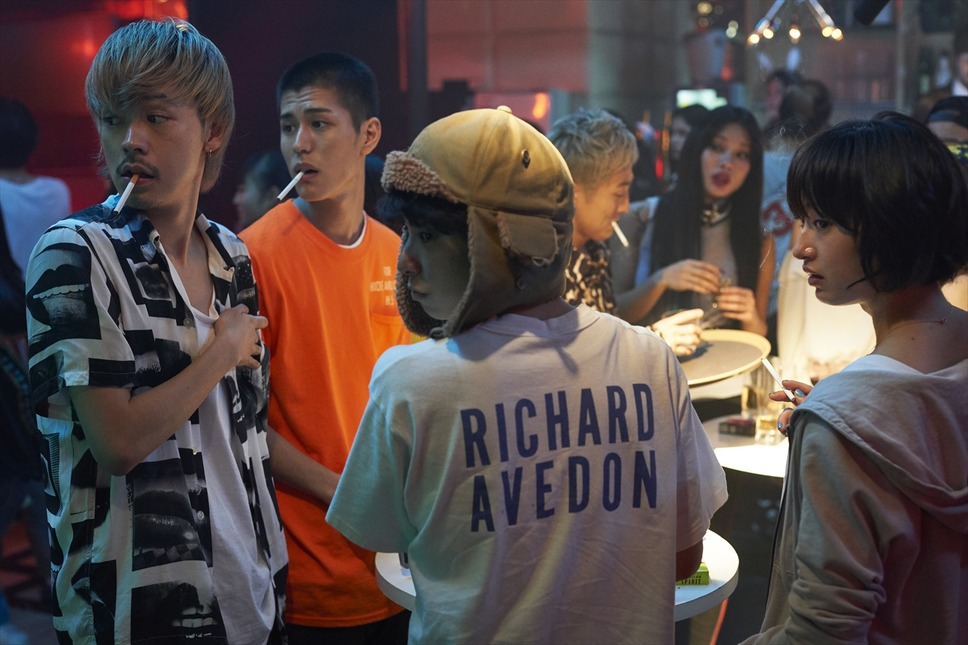 チワワちゃん 8枚目の写真・画像