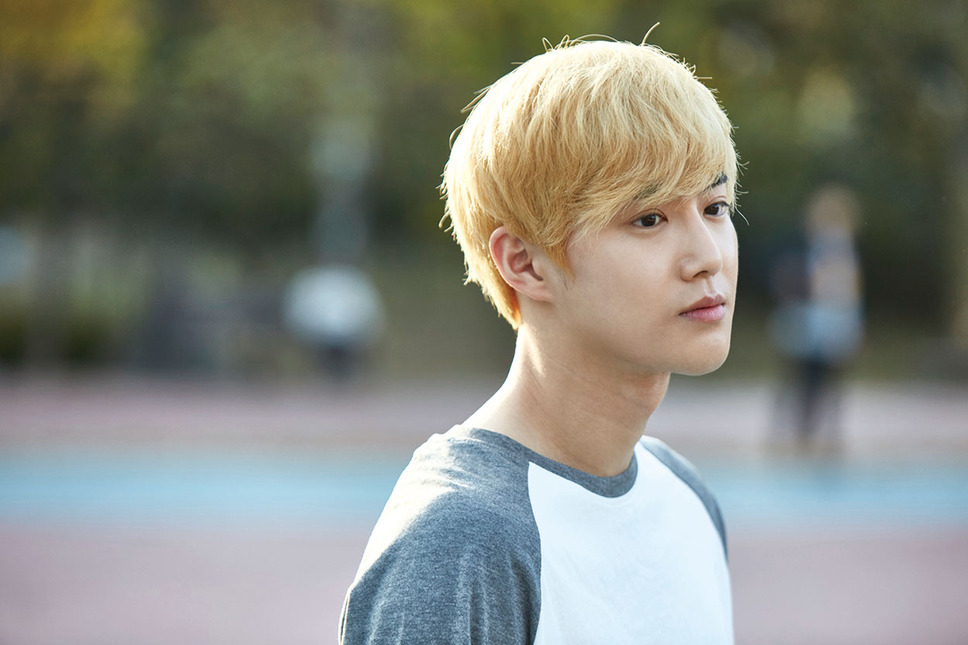 飛べない鳥と優しいキツネ 3枚目の写真・画像