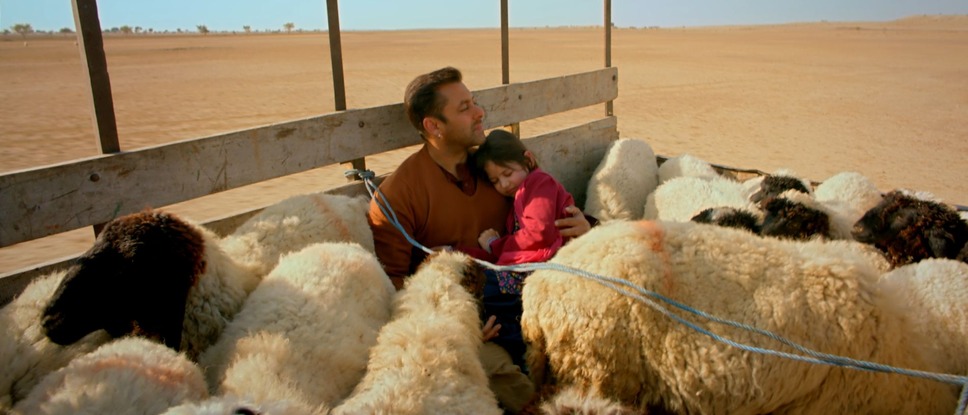 バジュランギおじさんと、小さな迷子 3枚目の写真・画像