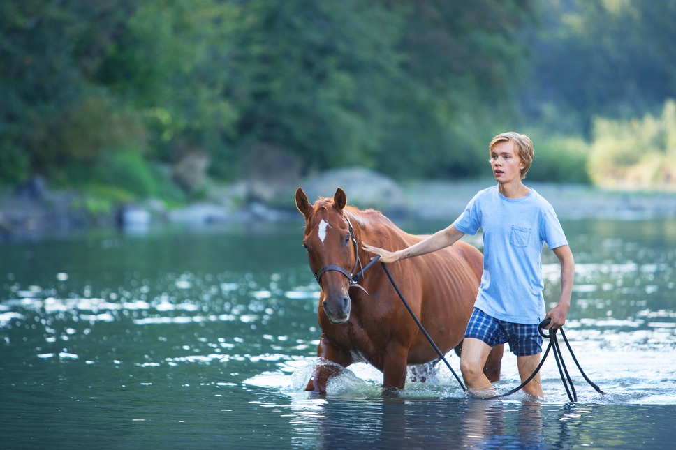荒野にて 6枚目の写真・画像