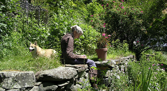 ターシャ・テューダー　静かな水の物語 1枚目の写真・画像