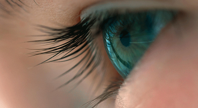 ボヤージュ・オブ・タイム 1枚目の写真・画像