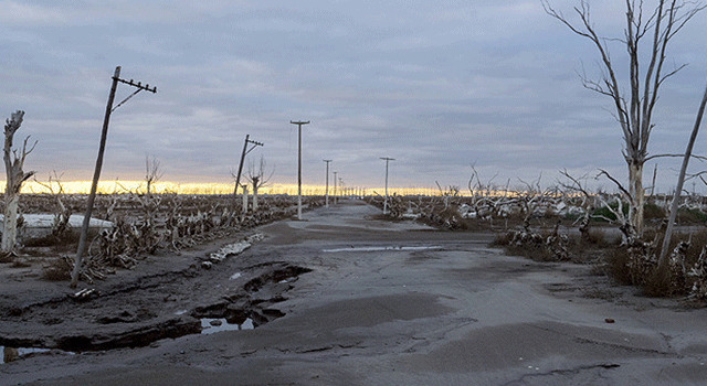 人類遺産 1枚目の写真・画像