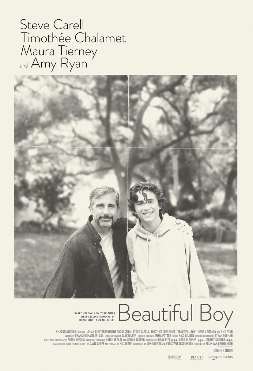 ビューティフル・ボーイ 9枚目の写真・画像