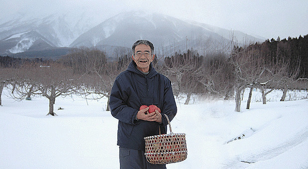 いのちの林檎 1枚目の写真・画像