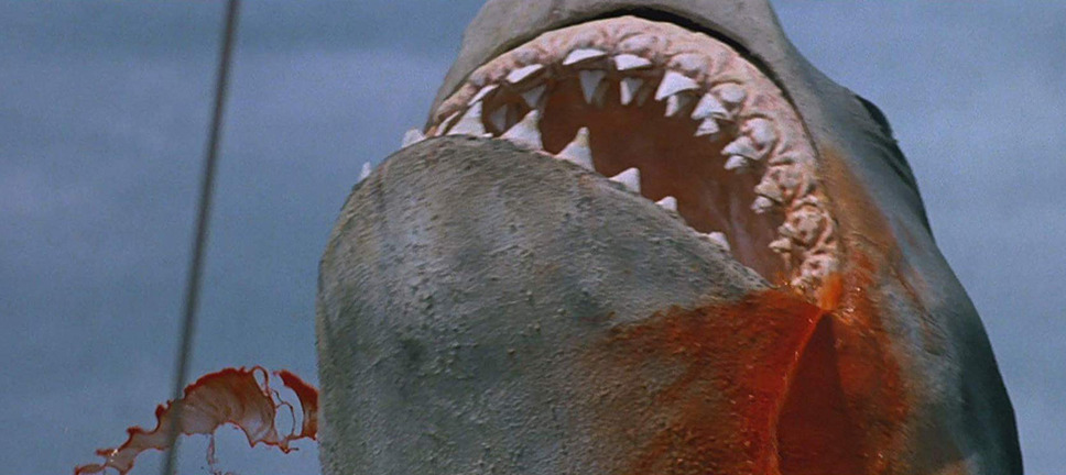 ジョーズ4／復讐篇(C)APOLLO