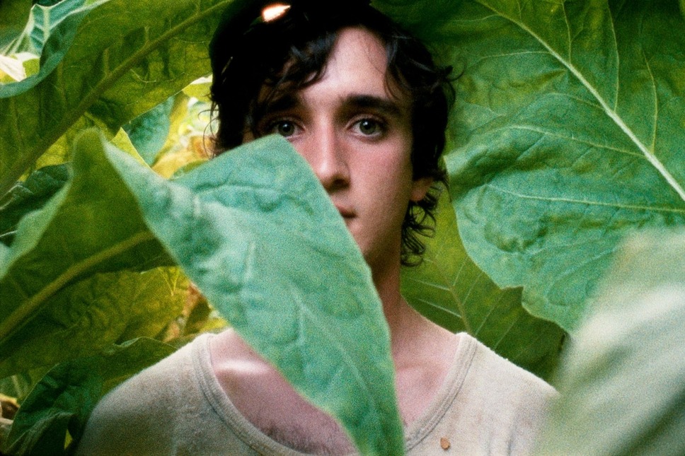 幸福なラザロ 2枚目の写真・画像