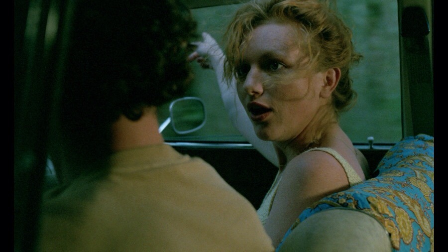 ザ・バニシング−消失−(C)APOLLO