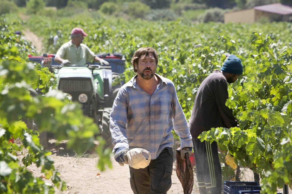 誰もがそれを知っている 7枚目の写真・画像