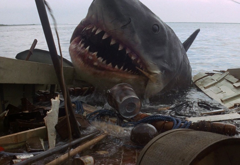 Jaws ジョーズ1枚目の写真 画像 Cinemacafe Net