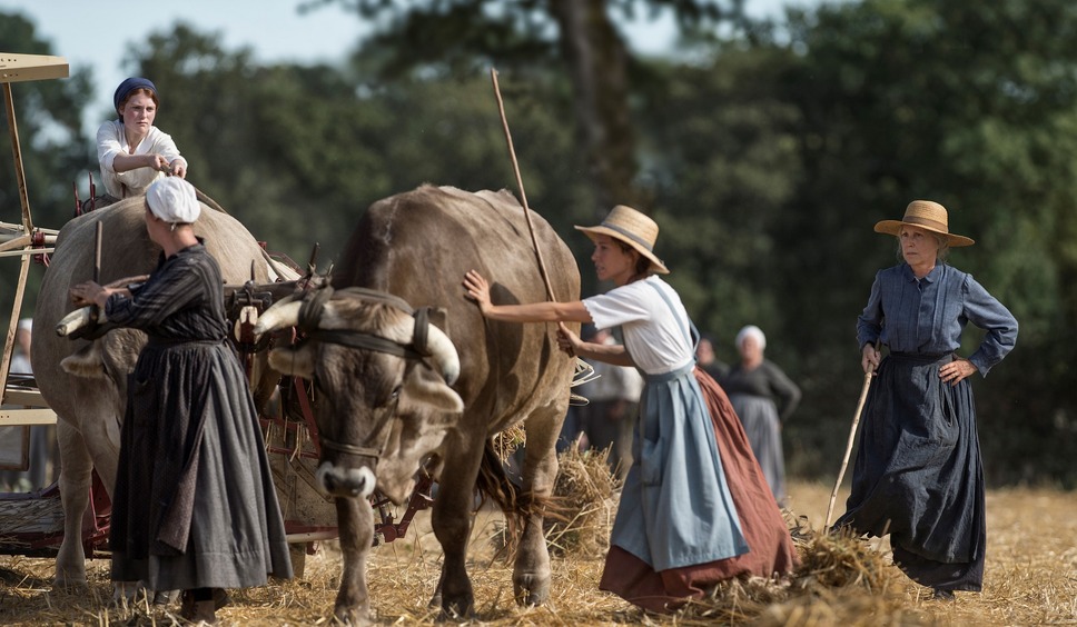 田園の守り人たち 5枚目の写真・画像