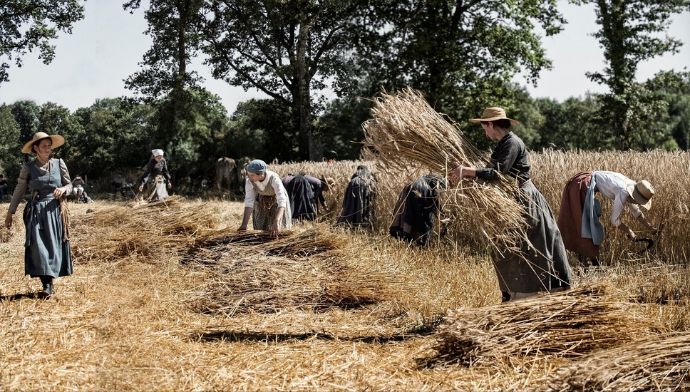 田園の守り人たち 6枚目の写真・画像