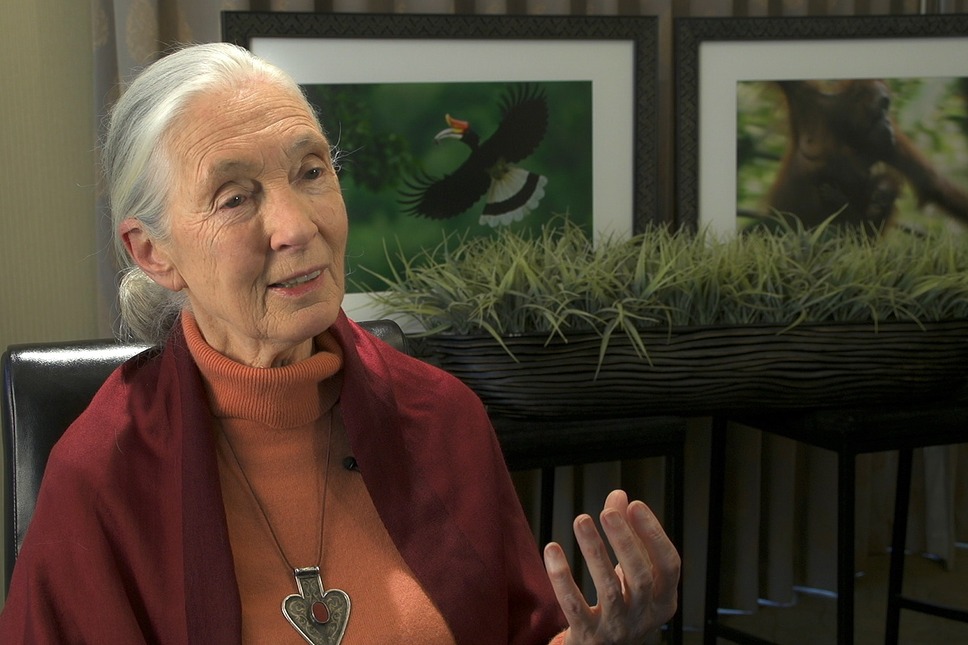 シード ～生命の糧～ 7枚目の写真・画像