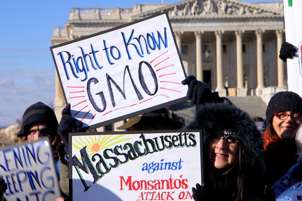 シード ～生命の糧～ 8枚目の写真・画像