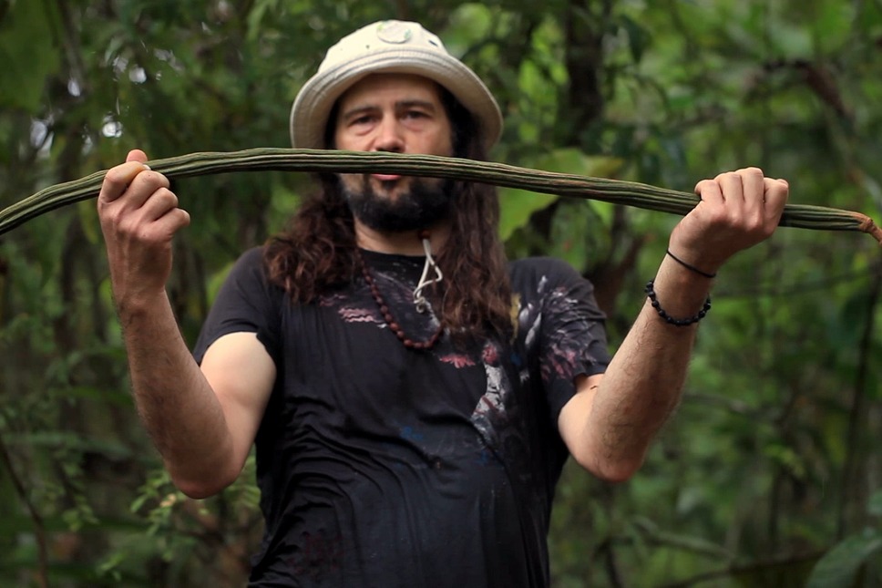 シード ～生命の糧～ 9枚目の写真・画像