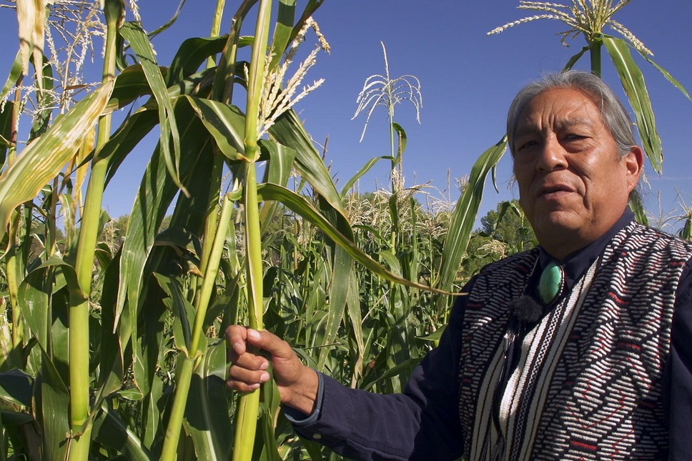 シード ～生命の糧～ 10枚目の写真・画像