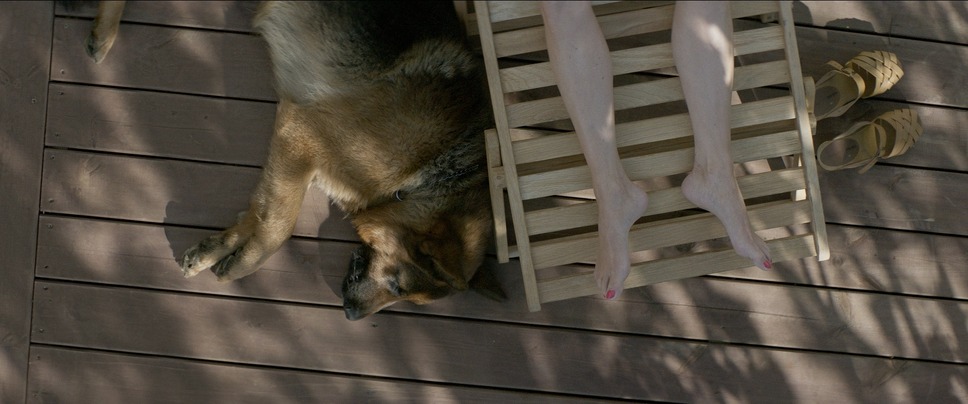 隣の影 7枚目の写真・画像