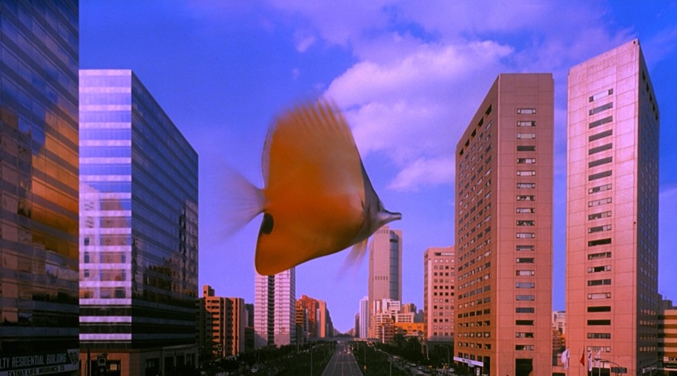 熱帯魚 デジタルリストア版 10枚目の写真・画像