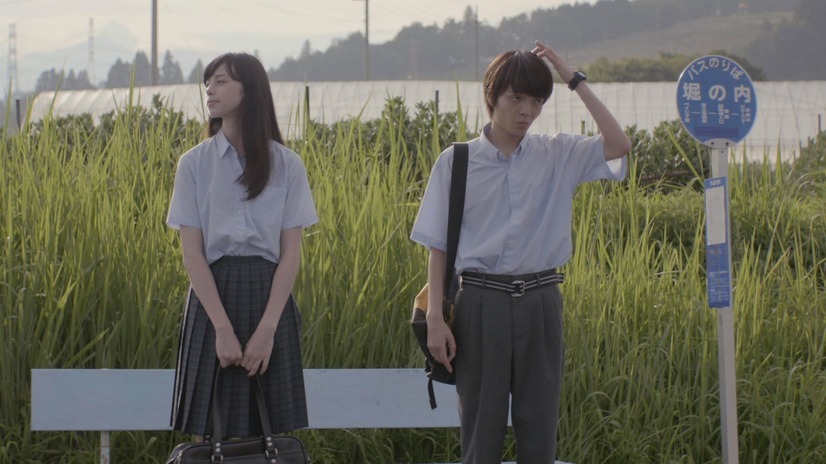 正しいバスの見分けかた 2枚目の写真・画像