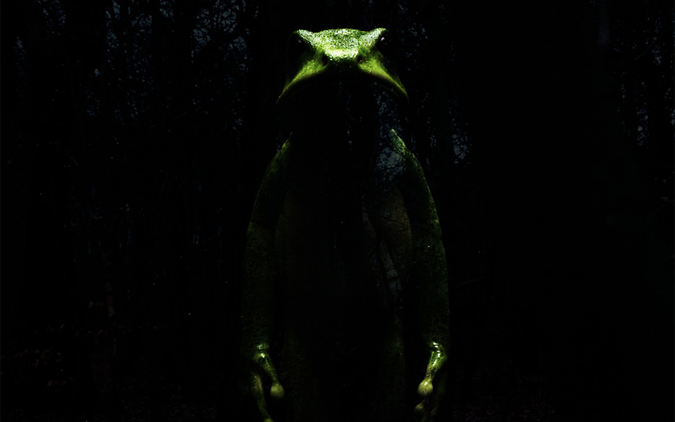 ドリーミング村上春樹 7枚目の写真・画像