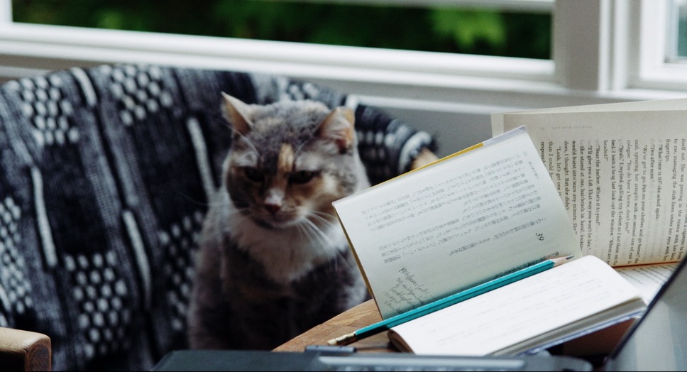 ドリーミング村上春樹 6枚目の写真・画像