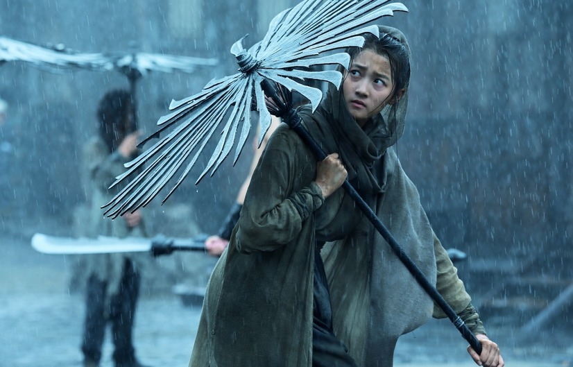 SHADOW／影武者 5枚目の写真・画像