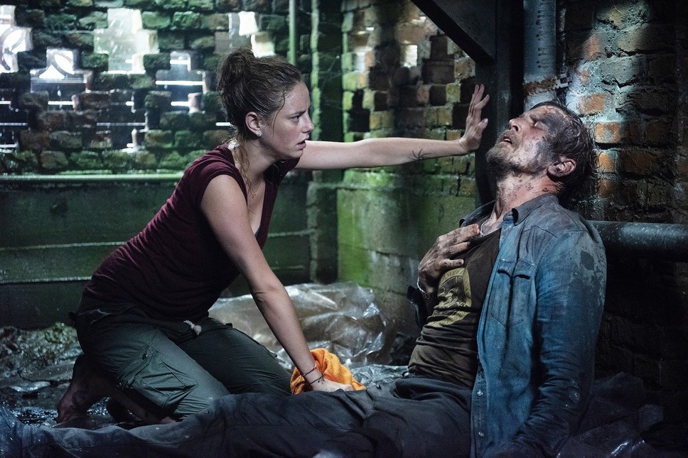 クロール ―凶暴領域― 3枚目の写真・画像