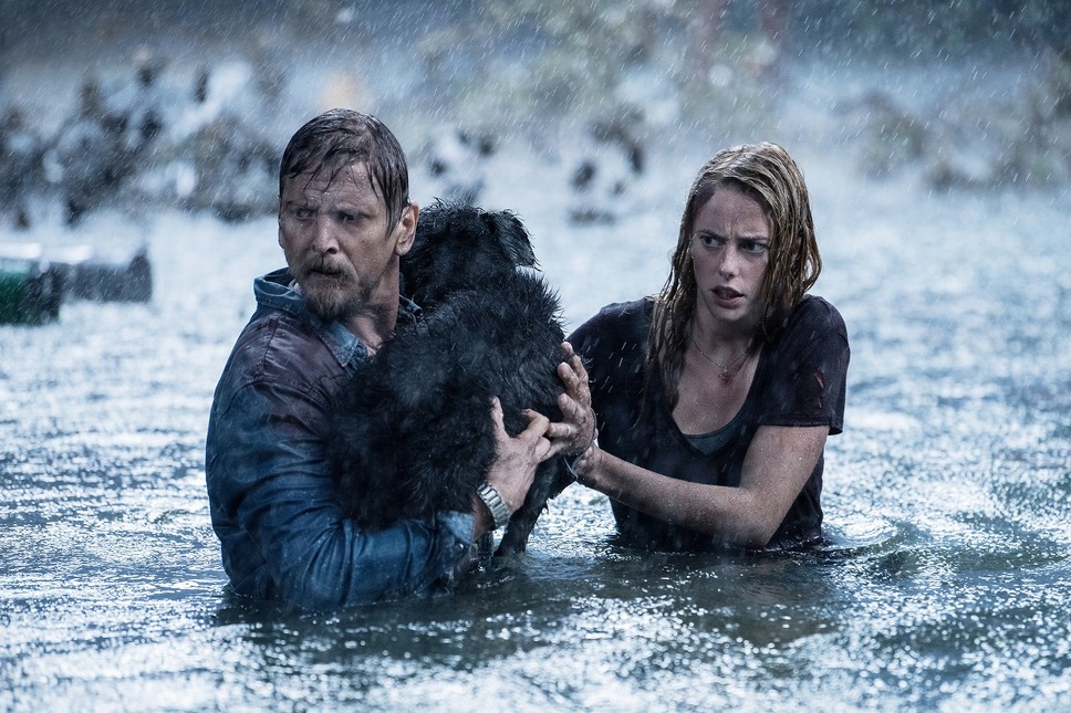 クロール ―凶暴領域― 4枚目の写真・画像