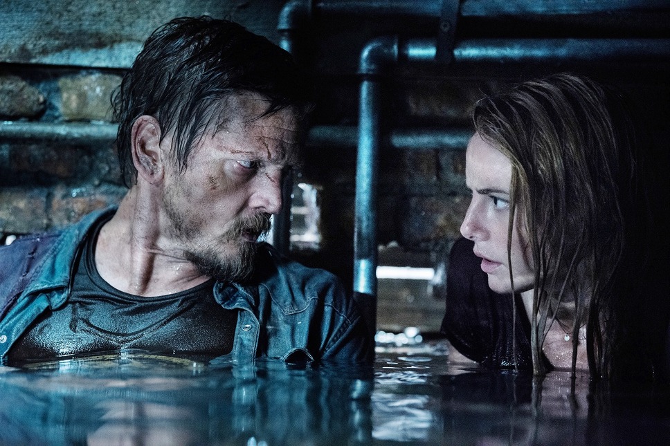 クロール ―凶暴領域― 8枚目の写真・画像