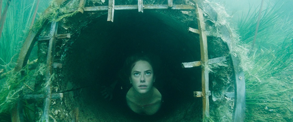 クロール ―凶暴領域― 11枚目の写真・画像