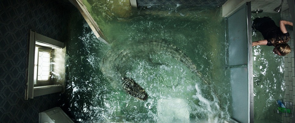 クロール ―凶暴領域― 12枚目の写真・画像