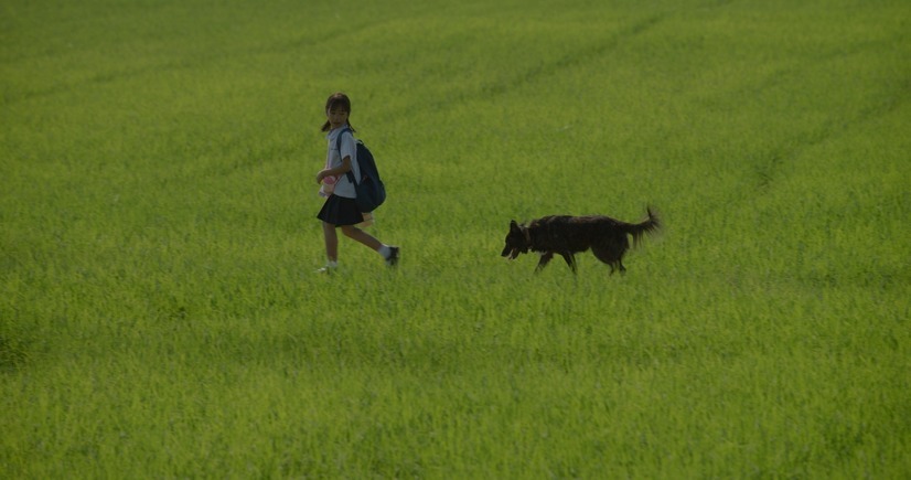 エンジェルサイン 7枚目の写真・画像